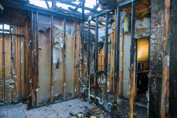 Professional Fire Damage Removal technician working in Camden, NJ
