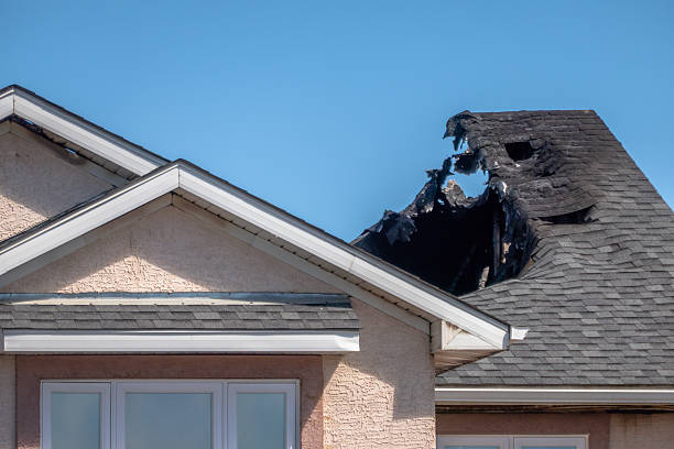 Top rated local Fire Damage Removal specialists in Camden, NJ
